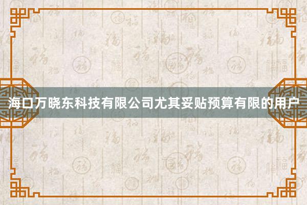 海口万晓东科技有限公司尤其妥贴预算有限的用户