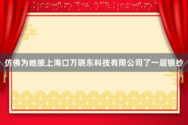 仿佛为她披上海口万晓东科技有限公司了一层银纱