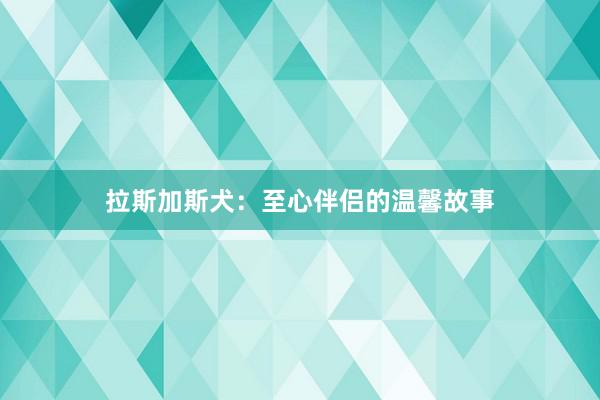 拉斯加斯犬:至心伴侣的温馨故事