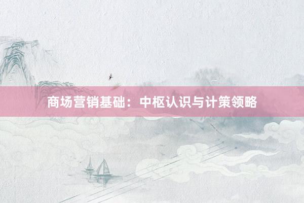 商场营销基础：中枢认识与计策领略